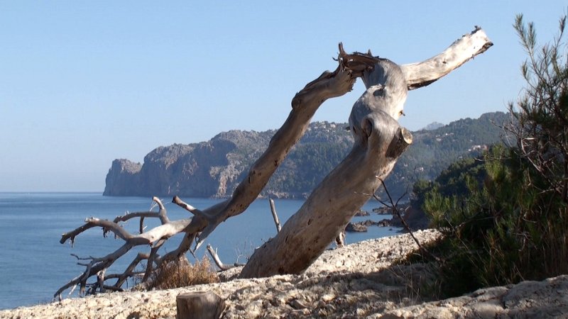 Still 93.jpg - Cami d'Alconasser